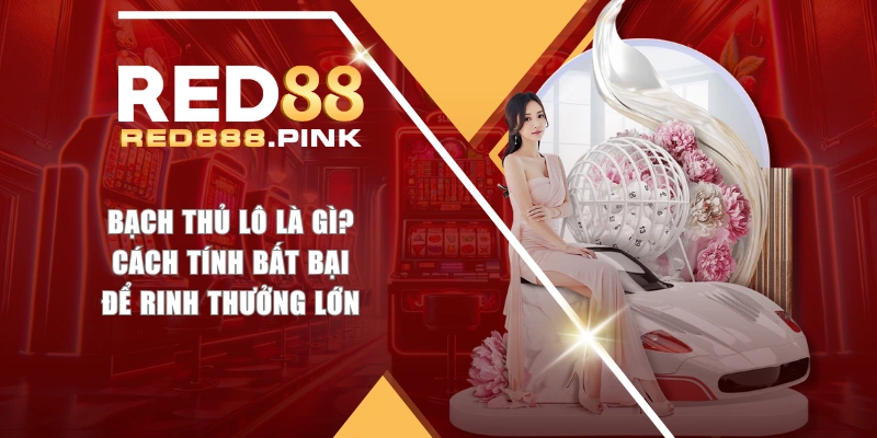 Bạch Thủ Lô Là Gì? Cách Tính Bất Bại Để Rinh Thưởng Lớn