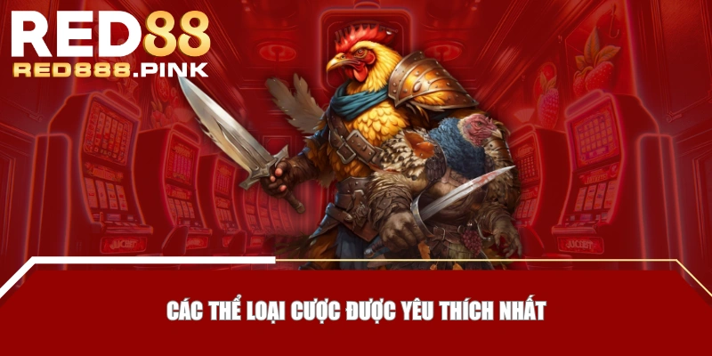 Các thể loại cược được yêu thích nhất