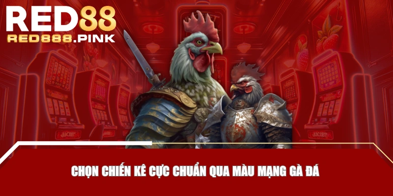 Chọn chiến kê cực chuẩn qua màu mạng gà đá 