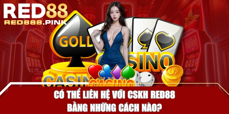 Có thể liên hệ với CSKH RED88 bằng những cách nào?