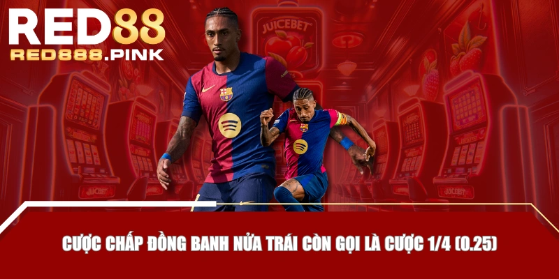 Cược chấp đồng banh nửa trái còn gọi là cược 1/4 (0.25)