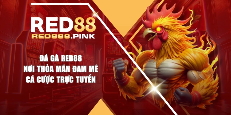 Đá Gà RED88 - Nơi Thỏa Mãn Đam Mê Cá Cược Trực Tuyến