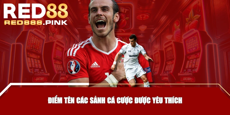 Điểm tên các sảnh cá cược được yêu thích