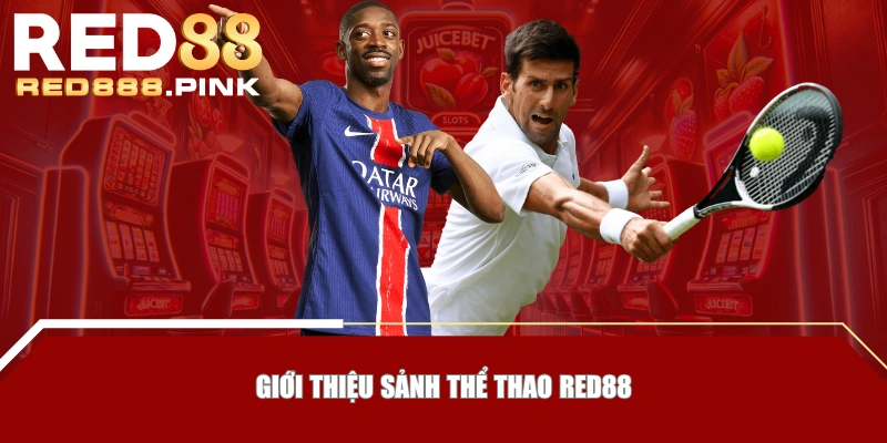 Giới thiệu sảnh Thể Thao RED88