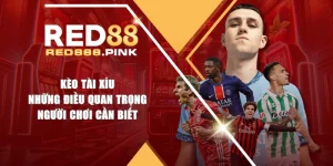 Kèo Tài Xỉu | Những Điều Quan Trọng Người Chơi Cần Biết