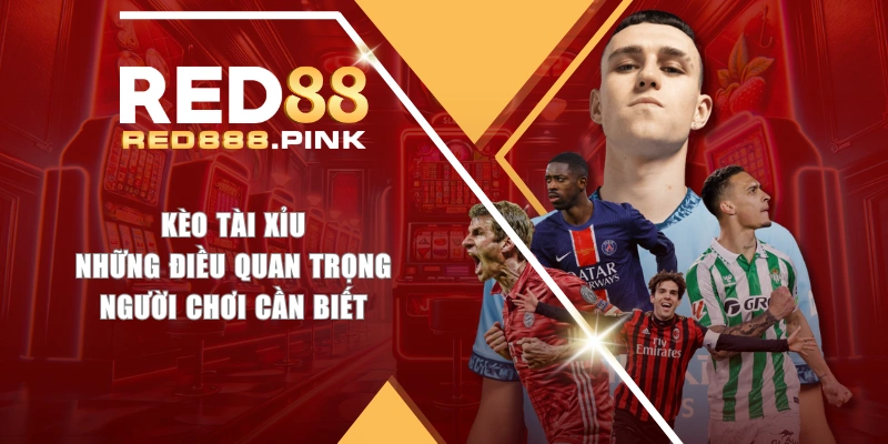 Kèo Tài Xỉu | Những Điều Quan Trọng Người Chơi Cần Biết
