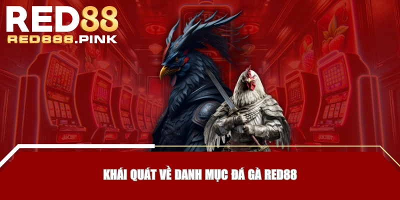 Khái quát về danh mục đá gà RED88