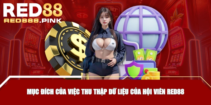 Mục đích của việc thu thập dữ liệu của hội viên RED88