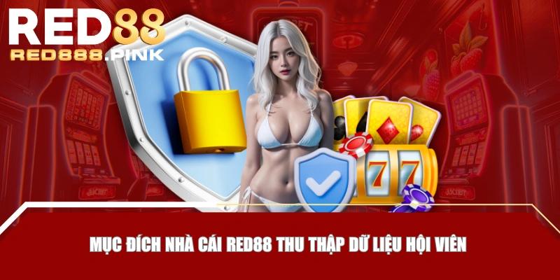 Mục đích nhà cái RED88 thu thập dữ liệu hội viên 