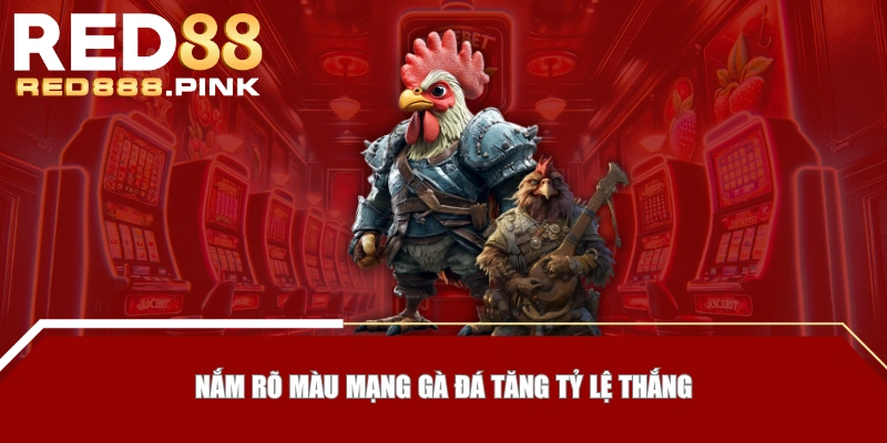 Nắm rõ màu mạng gà đá tăng tỷ lệ thắng