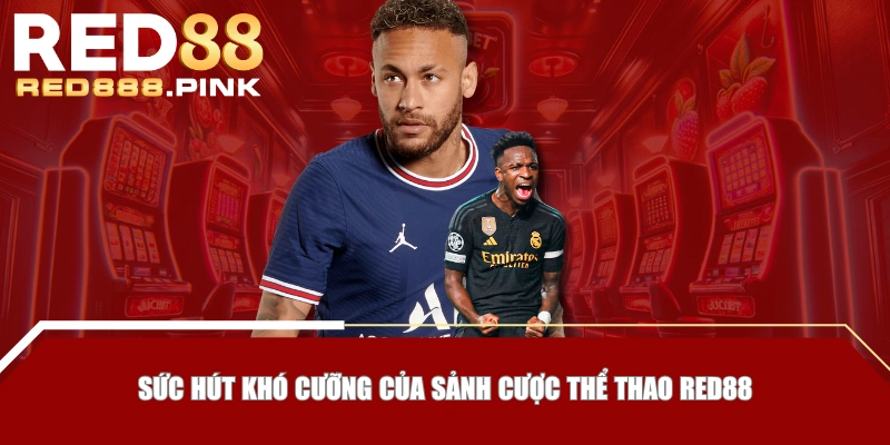 Sức hút khó cưỡng của sảnh cược thể thao RED88