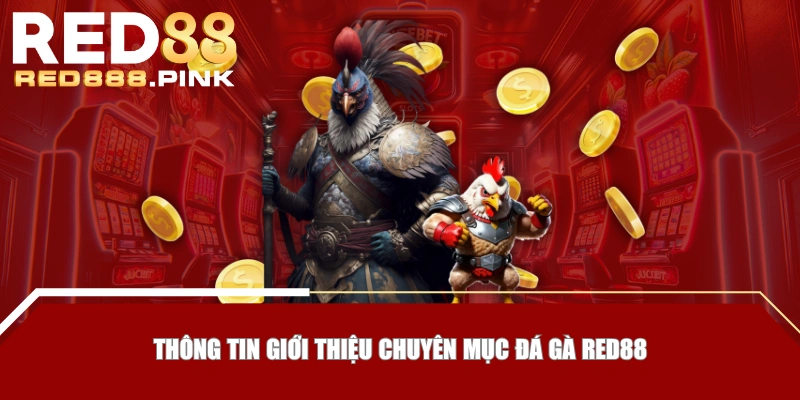 Thông tin giới thiệu chuyên mục Đá Gà RED88