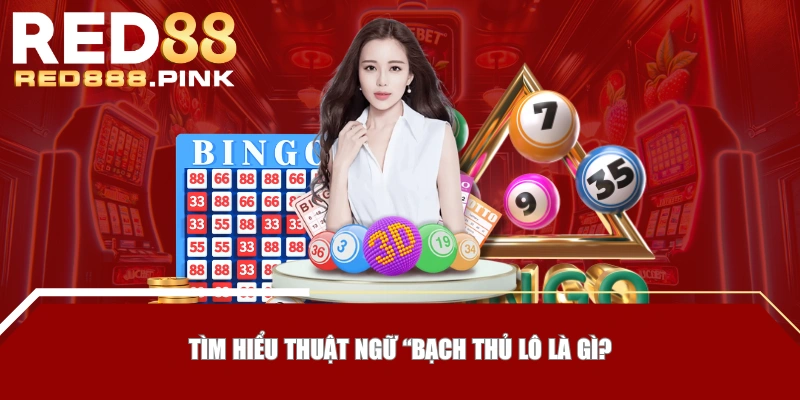 Tìm hiểu thuật ngữ “Bạch thủ lô là gì?